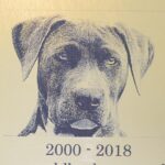 Dog-Memorial-Plaque
