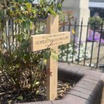 Natural-Harmony-Oak-Cross-for-natural-burial-grounds