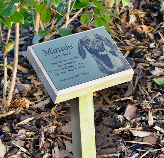 pet memorial